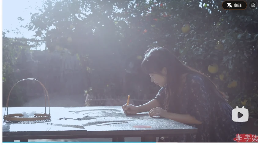 Bilibili video page